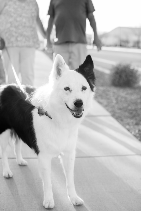 Entry image for Scuttlebutt . Clicking this image will show a larger photo