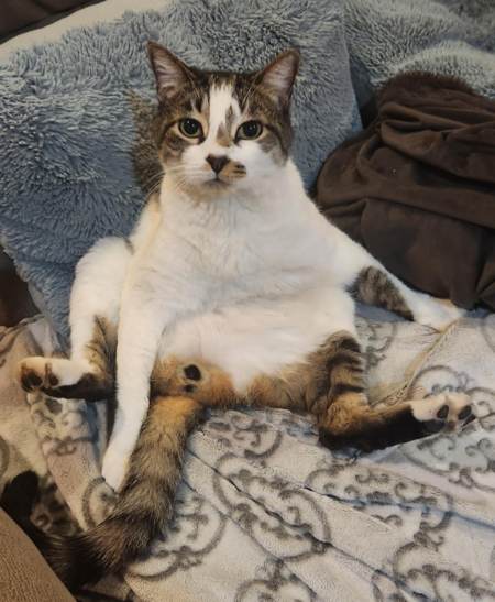 Entry image for Thomas "Yummy Boy" . Clicking this image will show a larger photo