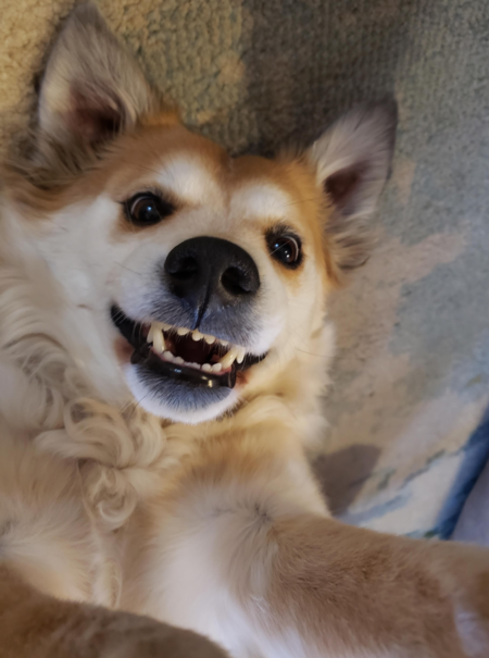 Entry image for Sandy D. Clicking this image will show a larger photo