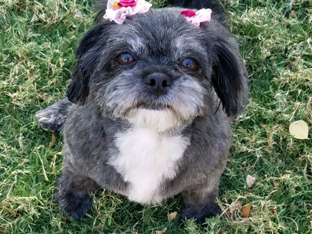 Entry image for Margot. Clicking this image will show a larger photo