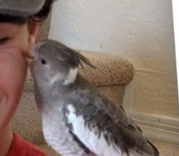 Entry image for Paco. Clicking this image will show a larger photo