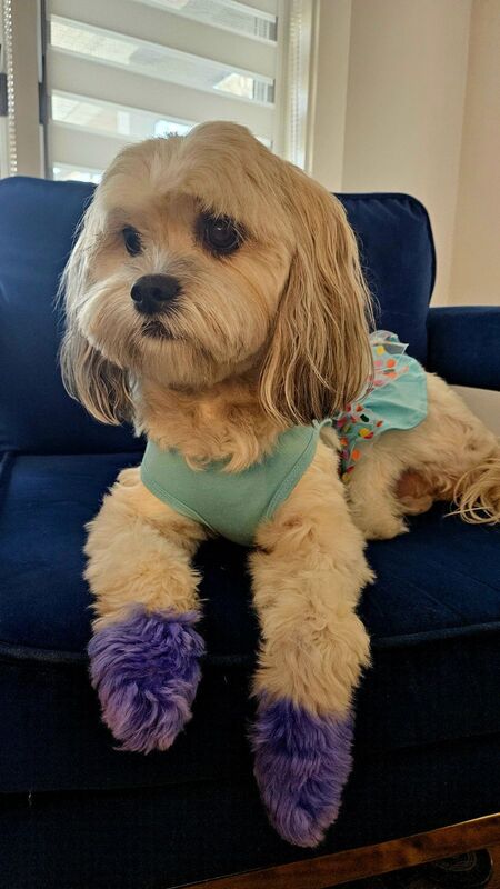 Entry image for Zoe. Clicking this image will show a larger photo