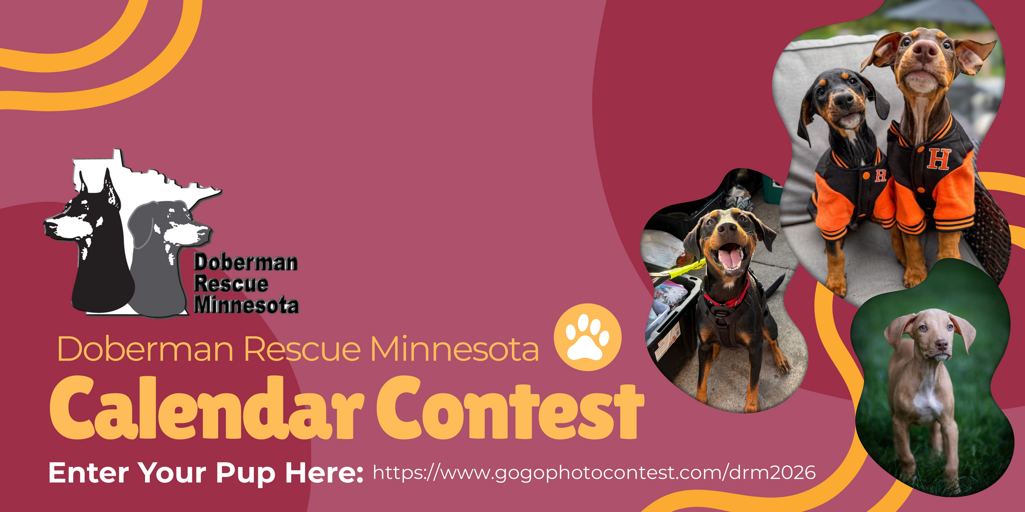 Banner for 2026 Doberman Rescue Minnesota Calendar Contest