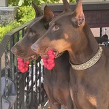 Entry image for Monie & Briggs