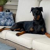 Entry image for Zeus