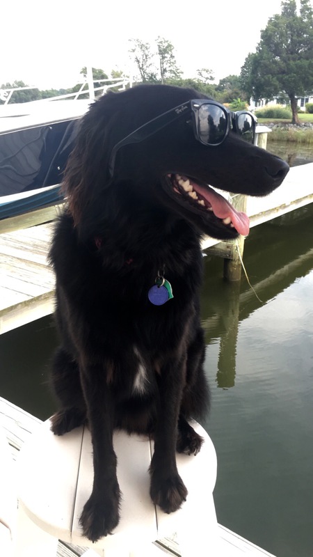 Ripley