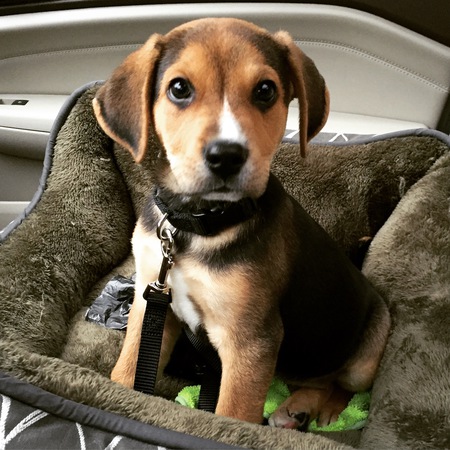 Porter