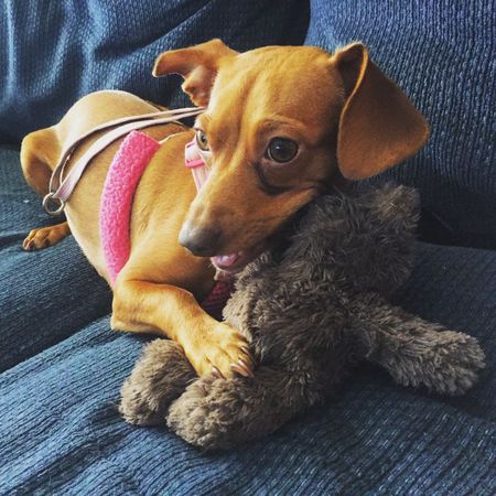 Coco