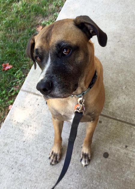 Roscoe