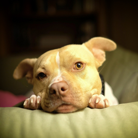 Winnie
