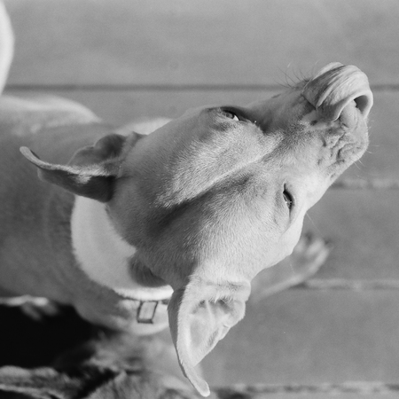 Winnie