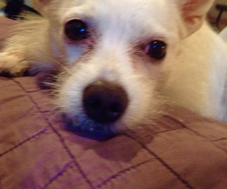 Baylee
