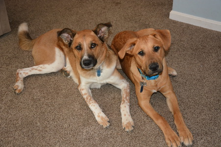 Cooper and Parker