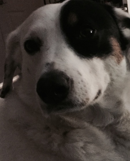 Oliver
