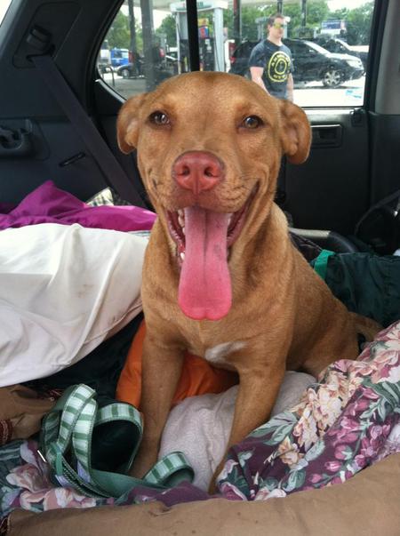 Petey