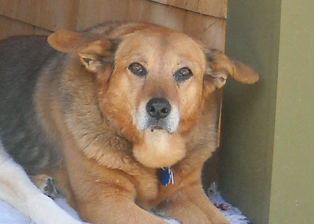 Winnie 