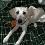 Entry image for Kayto
