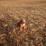 Entry image for Chloe Mae