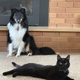 Entry image for Zeus & Anubis