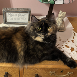 Entry image for Gesa