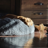 Entry image for Kevin 