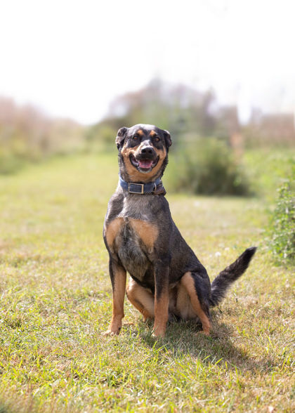 Entry image for Naya. Clicking this image will show a larger photo