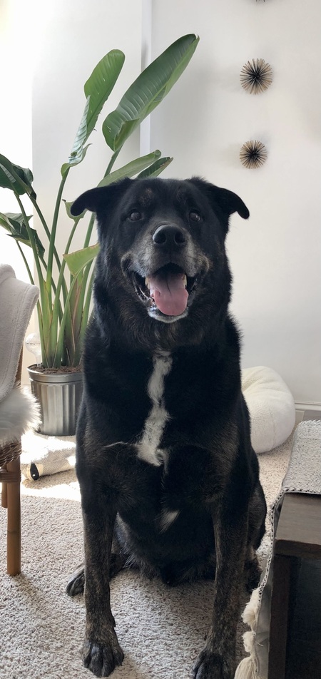 Entry image for Ricky. Clicking this image will show a larger photo