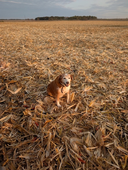 Entry image for Chloe Mae. Clicking this image will show a larger photo