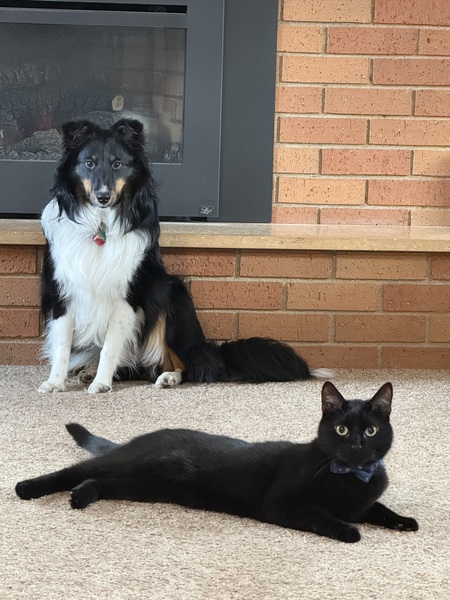 Entry image for Zeus & Anubis. Clicking this image will show a larger photo