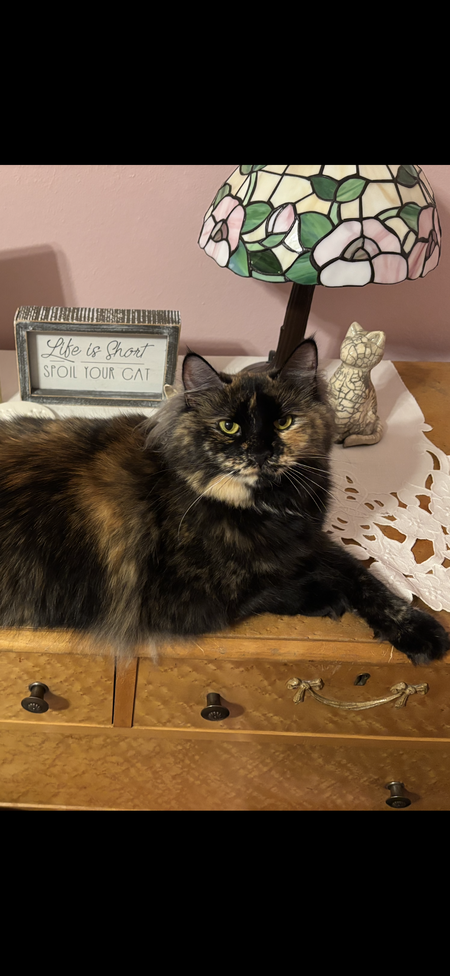 Entry image for Gesa. Clicking this image will show a larger photo