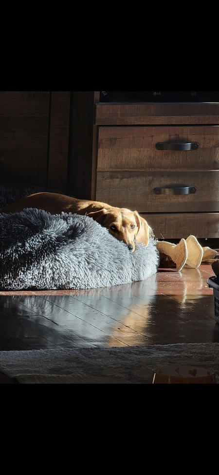 Entry image for Kevin . Clicking this image will show a larger photo