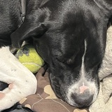 Entry image for Nook