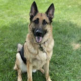 Entry image for Kyro 