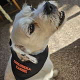 Entry image for Maggie 