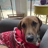 Entry image for Pluto