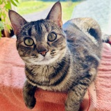 Entry image for Sunny