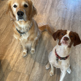 Entry image for Oakley and Tucker