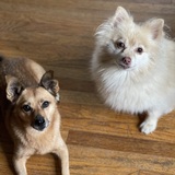 Entry image for Piper & Bailey