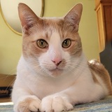 Entry image for Sully