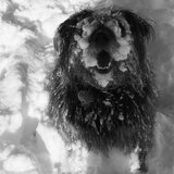 Entry image for Muggs