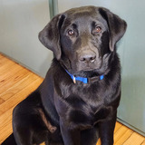 Entry image for Wynston 