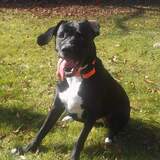 Entry image for Lucy-Lou