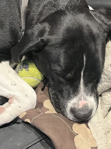 Entry image for Nook. Clicking this image will show a larger photo