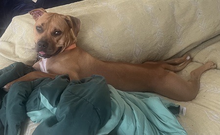 Entry image for Paddy. Clicking this image will show a larger photo