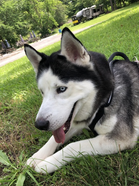 Entry image for Po. Clicking this image will show a larger photo