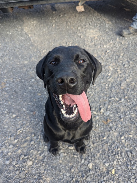 Entry image for Oaklyn . Clicking this image will show a larger photo