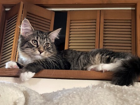 Entry image for Cassie. Clicking this image will show a larger photo