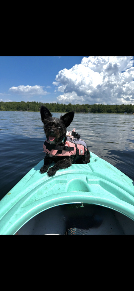 Entry image for Meah . Clicking this image will show a larger photo