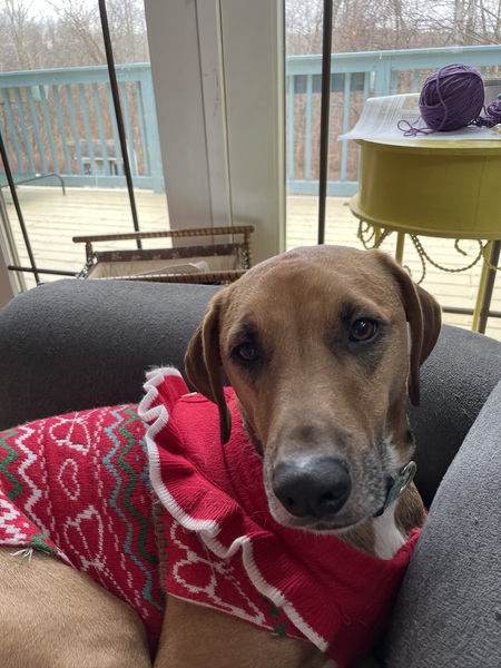 Entry image for Pluto. Clicking this image will show a larger photo