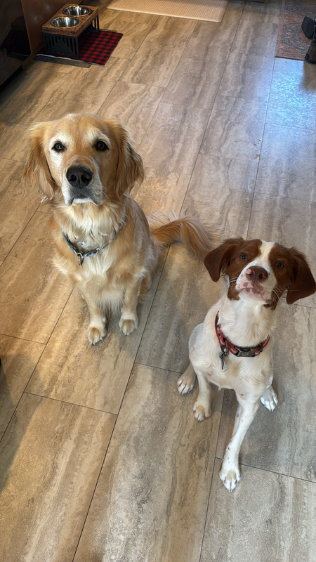 Entry image for Oakley and Tucker. Clicking this image will show a larger photo